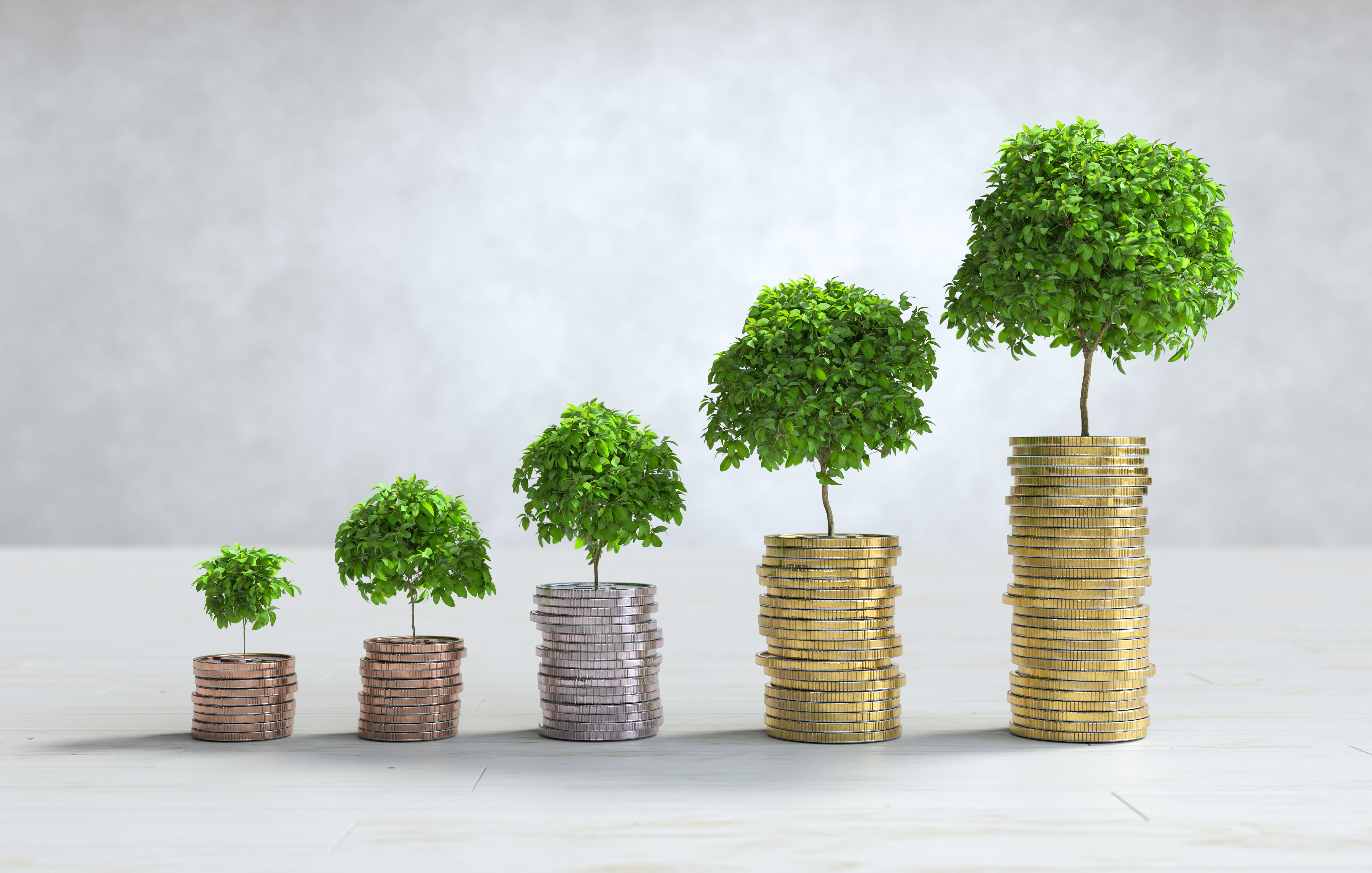 Grow and Protect Your Assets